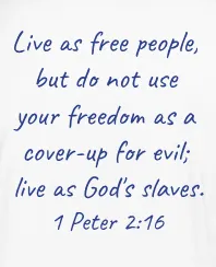 Stars & Stripes|Freedom in Christ|Patriotic Faith T-Shirt|amproud2beme Apparel|Woman At The Well Unleashed