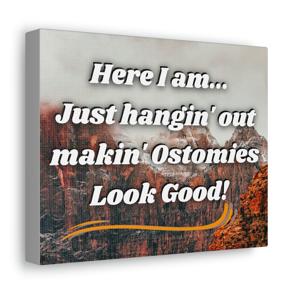 MAKIN' OSTOMIES LOOK GOOD (Canvas Gallery Wrap)