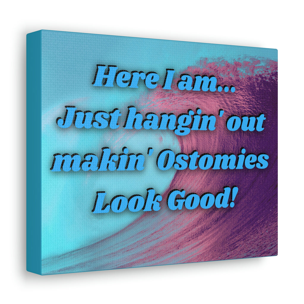 MAKIN' OSTOMIES LOOK GOOD (Canvas Gallery Wrap)