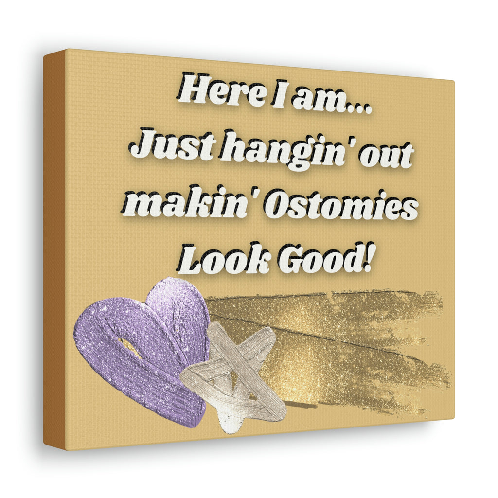 MAKIN' OSTOMIES LOOK GOOD (Canvas Gallery Wrap)