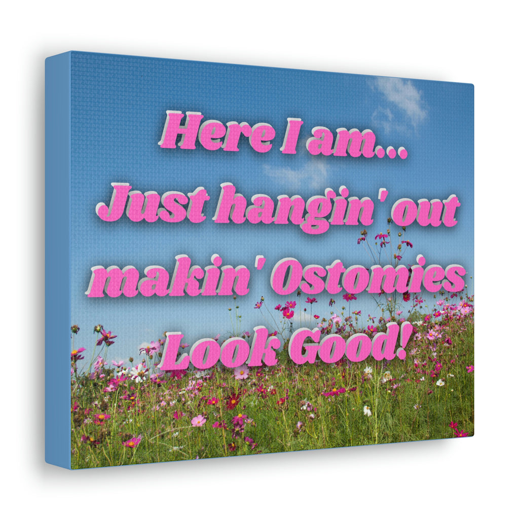 MAKIN' OSTOMIES LOOK GOOD (Canvas Gallery Wrap)