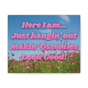 MAKIN' OSTOMIES LOOK GOOD (Canvas Gallery Wrap)