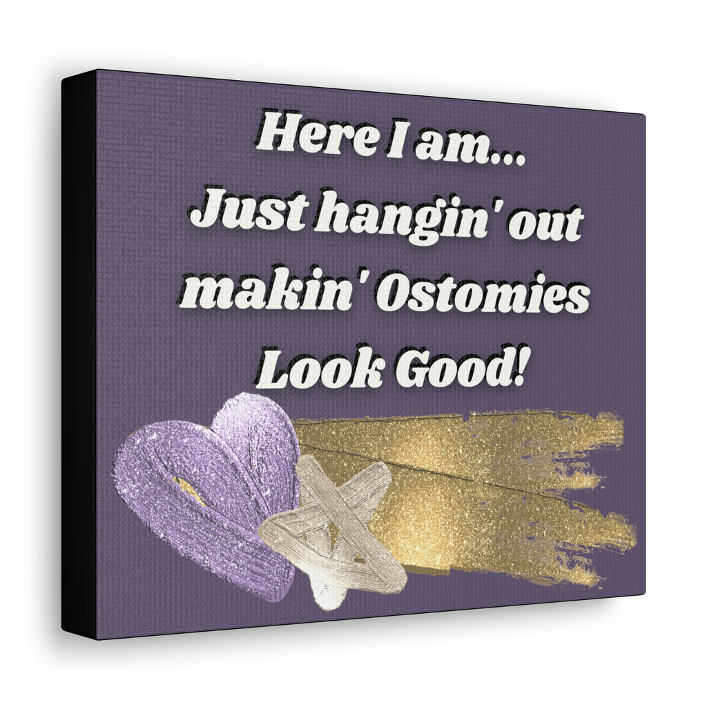MAKIN' OSTOMIES LOOK GOOD (Canvas Gallery Wrap)
