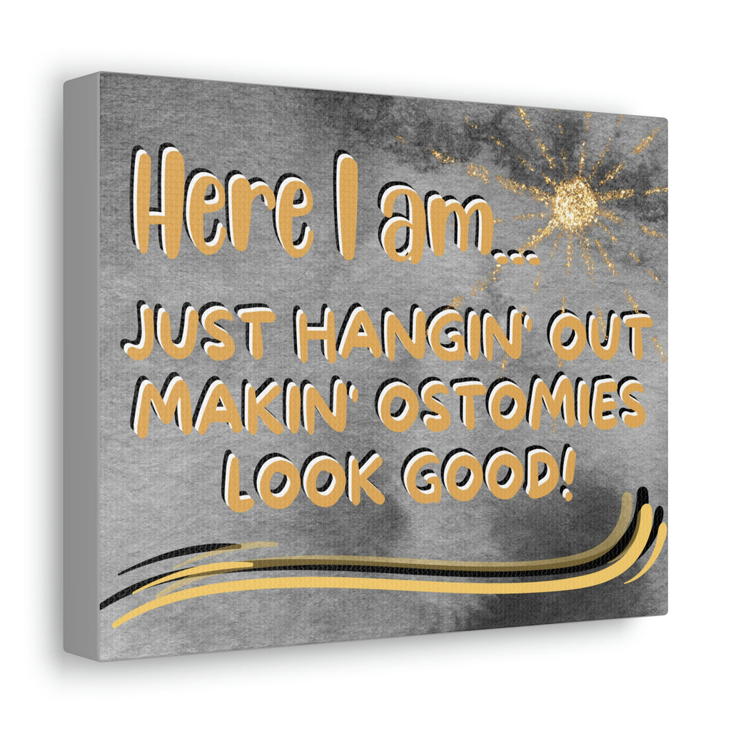 Makin' Ostomies Look Good (Canvas Gallery Wrap)