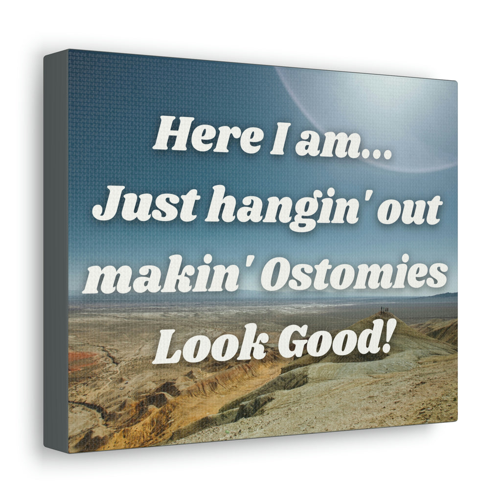 MAKIN' OSTOMIES LOOK GOOD (Canvas Gallery Wrap)