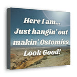 MAKIN' OSTOMIES LOOK GOOD (Canvas Gallery Wrap)
