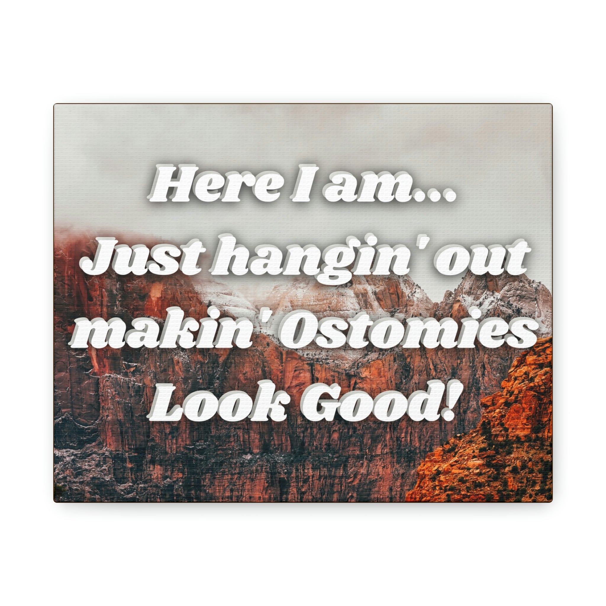 MAKIN' OSTOMIES LOOK GOOD (Canvas Gallery Wrap)