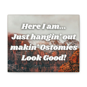 MAKIN' OSTOMIES LOOK GOOD (Canvas Gallery Wrap)
