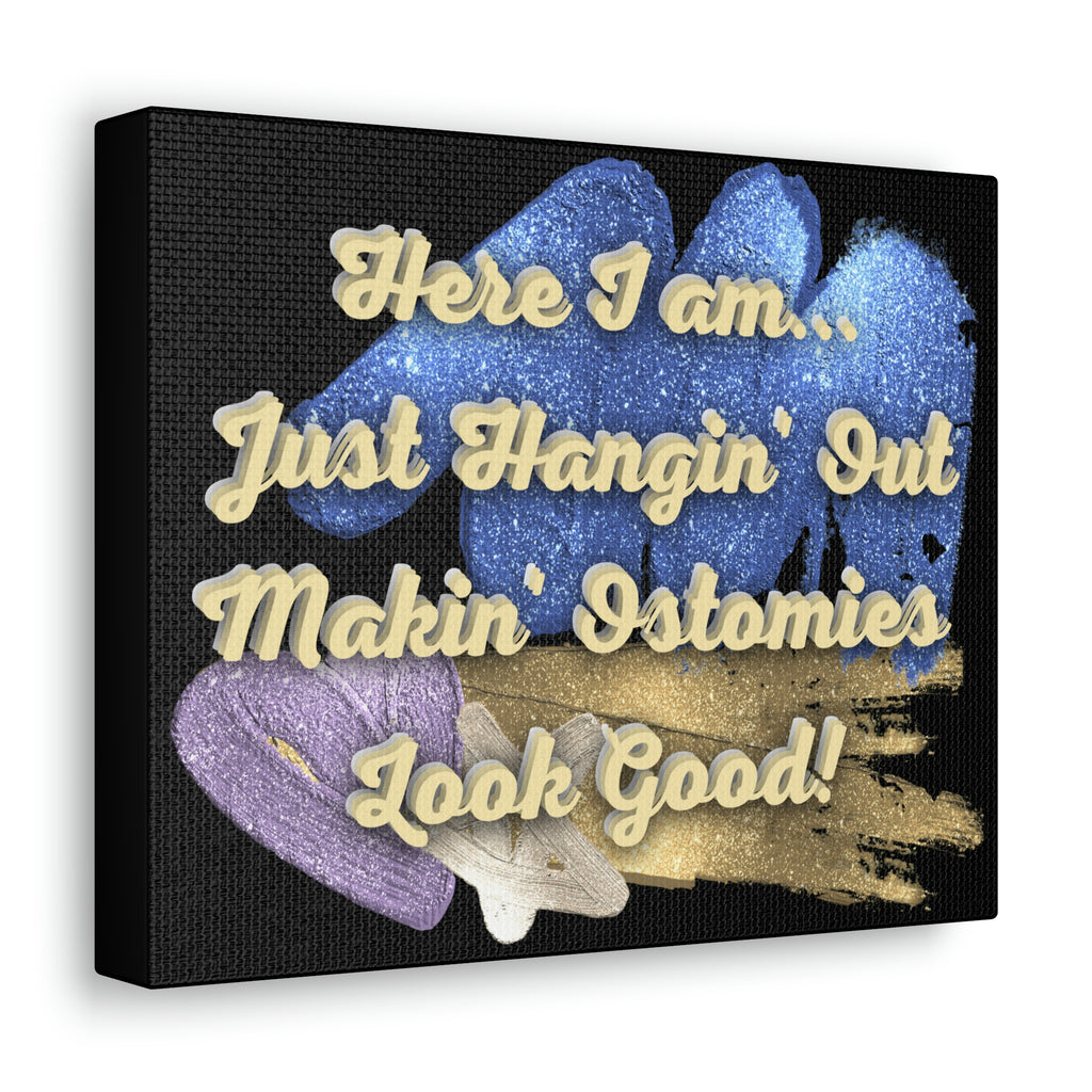 MAKIN' OSTOMIES LOOK GOOD (Canvas Gallery Wrap)