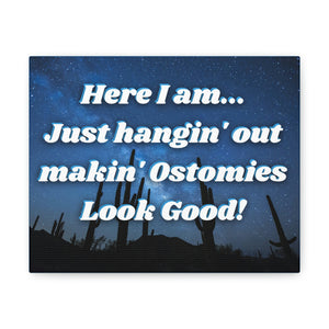 MAKIN' OSTOMIES LOOK GOOD (Canvas Gallery Wrap)