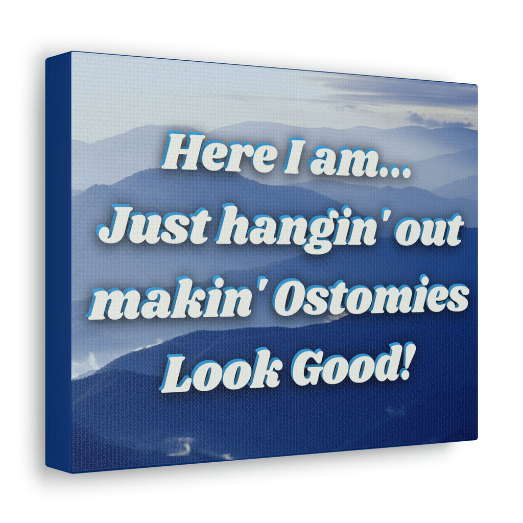 MAKIN' OSTOMIES LOOK GOOD (Canvas Gallery Wrap)