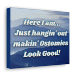 MAKIN' OSTOMIES LOOK GOOD (Canvas Gallery Wrap)