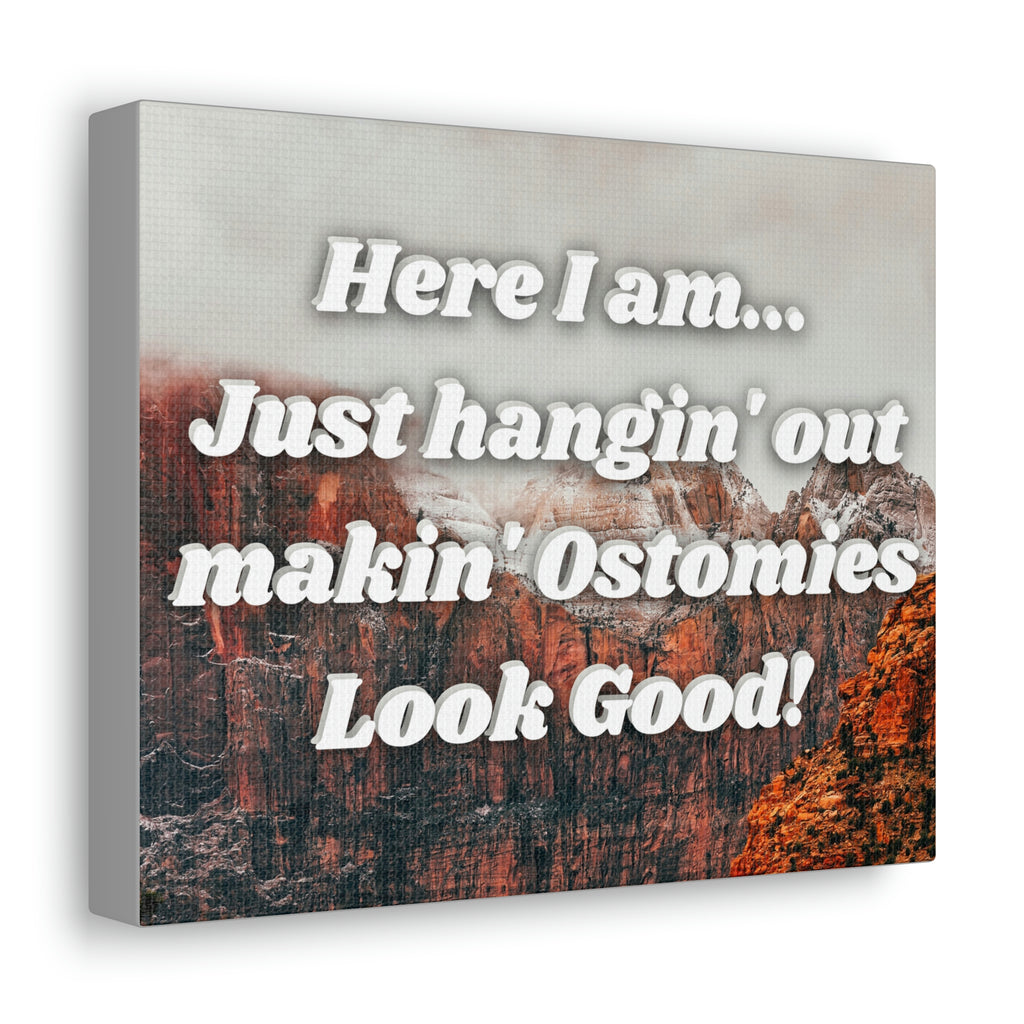 MAKIN' OSTOMIES LOOK GOOD (Canvas Gallery Wrap)