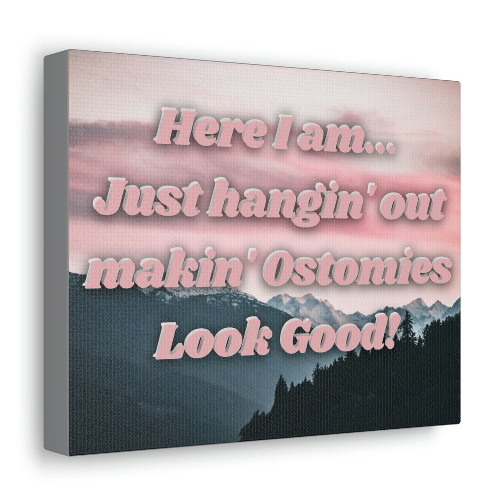 MAKIN' OSTOMIES LOOK GOOD (Canvas Gallery Wrap)