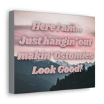 MAKIN' OSTOMIES LOOK GOOD (Canvas Gallery Wrap)
