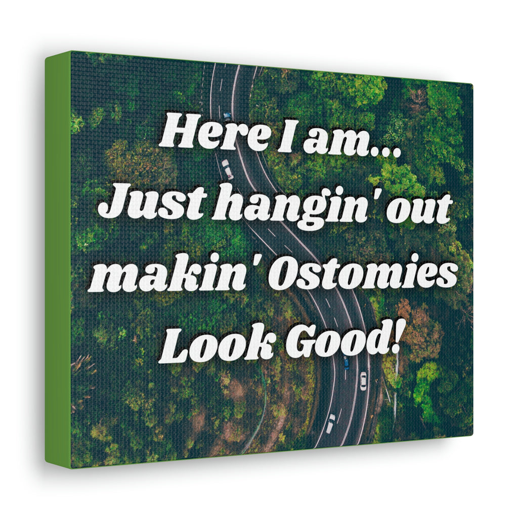MAKIN' OSTOMIES LOOK GOOD (Canvas Gallery Wrap)