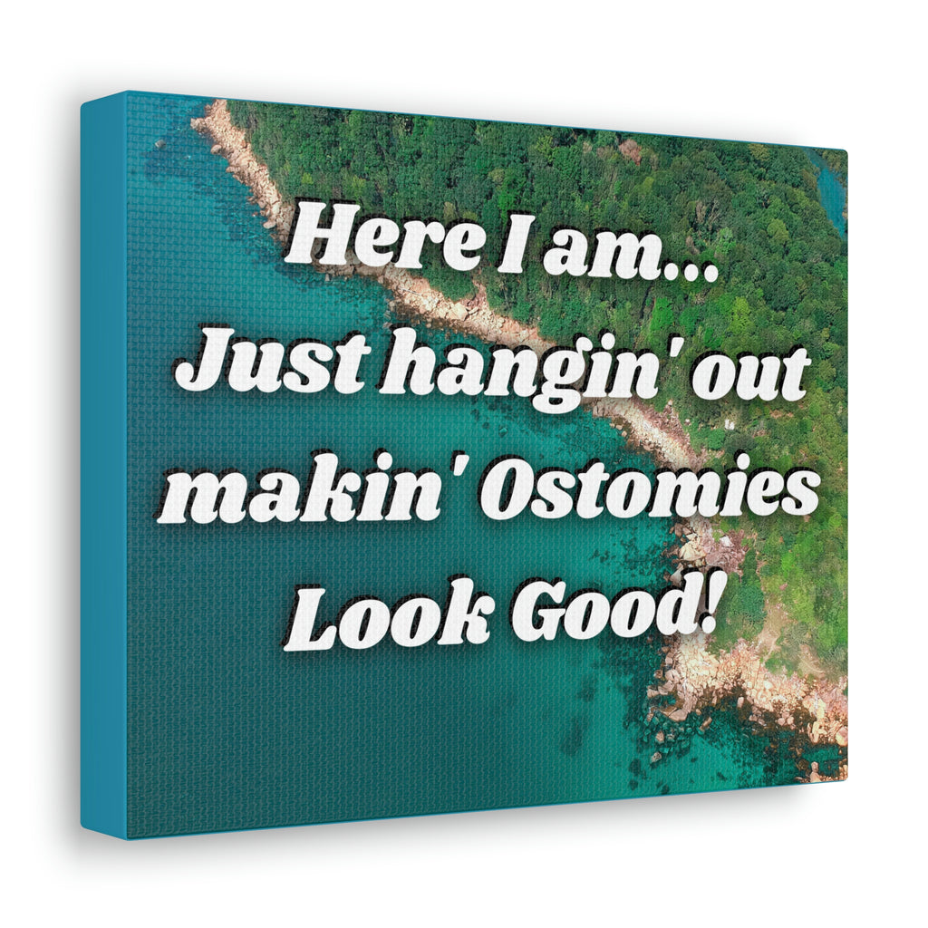 MAKIN' OSTOMIES LOOK GOOD (Canvas Gallery Wrap)