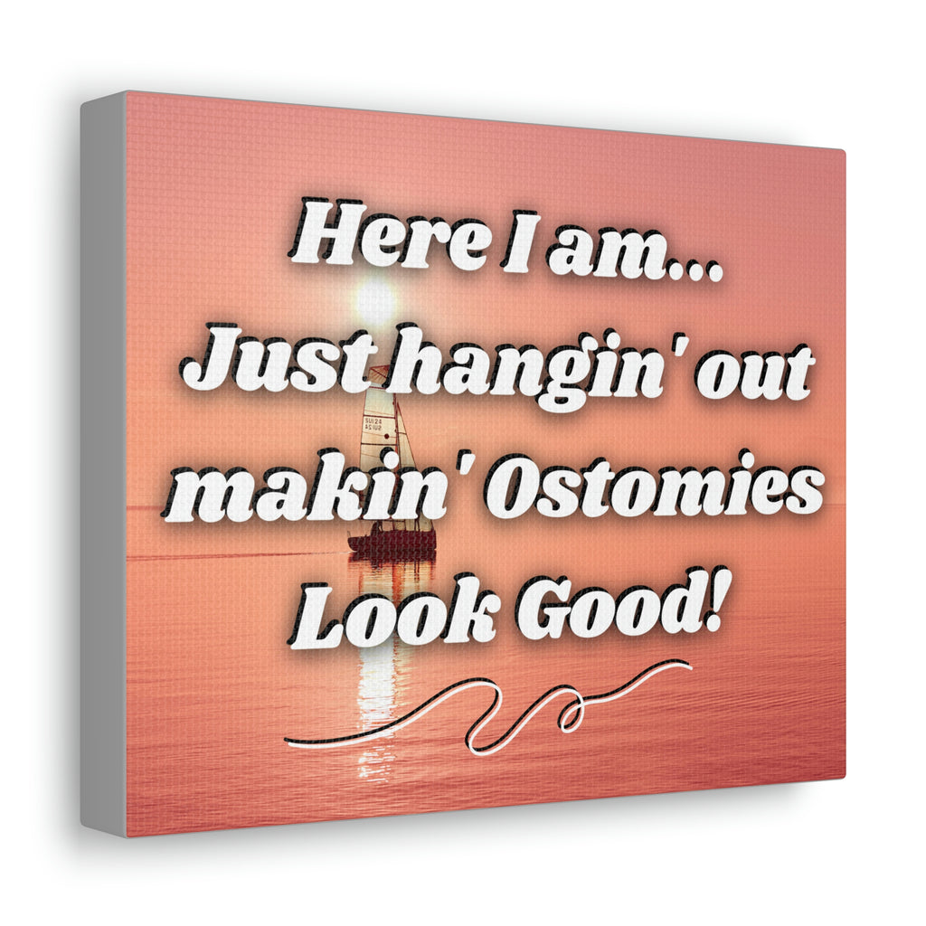 MAKIN' OSTOMIES LOOK GOOD (Canvas Gallery Wrap)