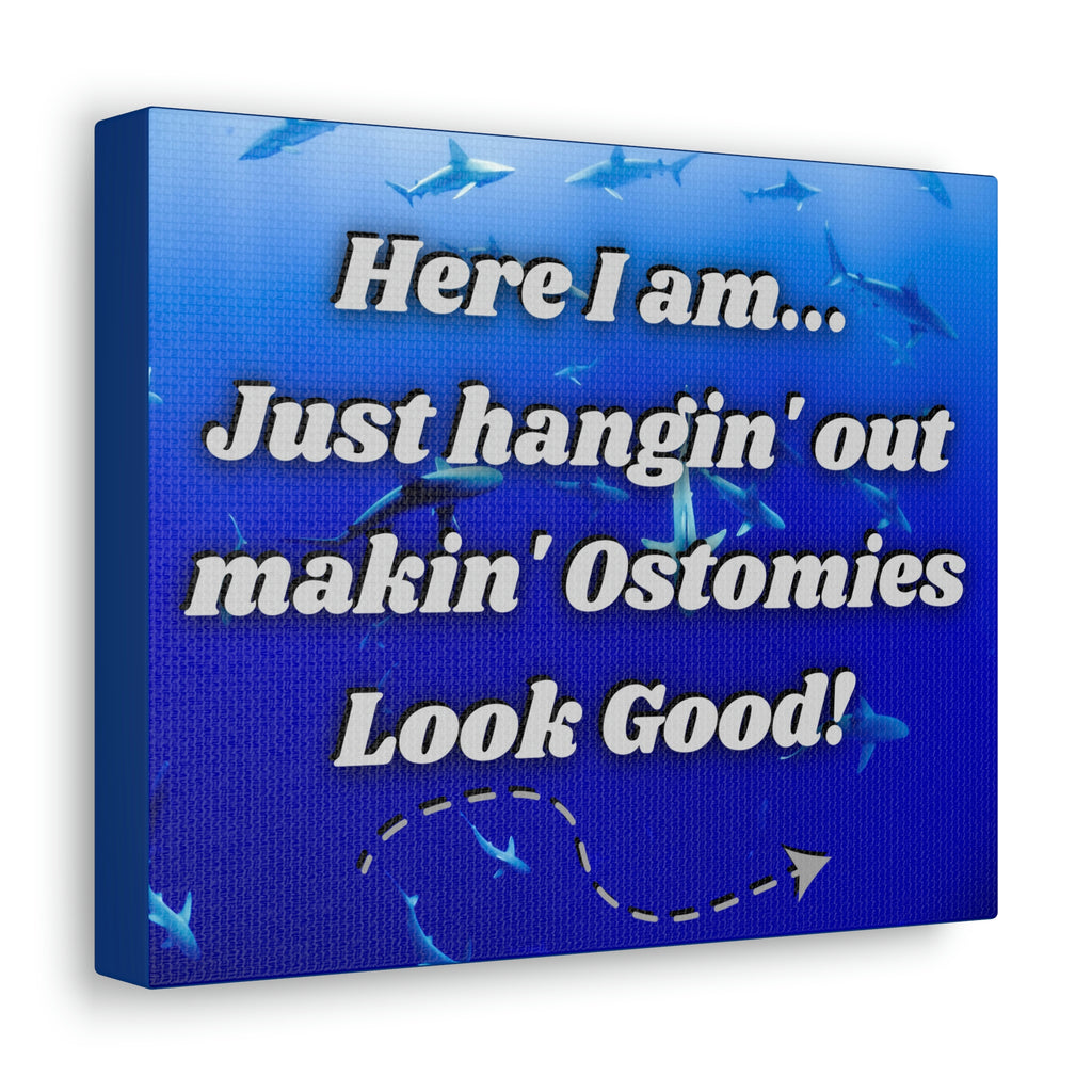 MAKIN' OSTOMIES LOOK GOOD (Canvas Gallery Wrap)
