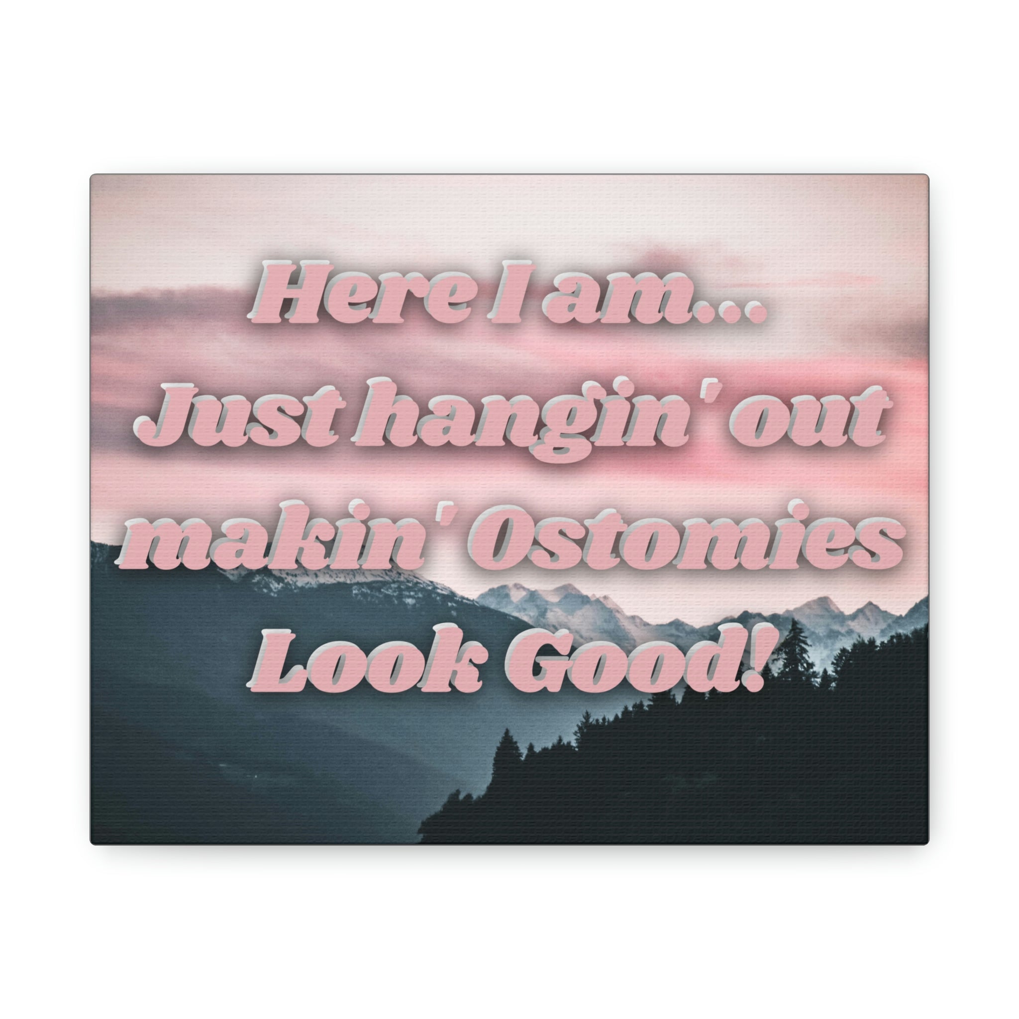MAKIN' OSTOMIES LOOK GOOD (Canvas Gallery Wrap)