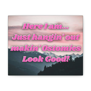 MAKIN' OSTOMIES LOOK GOOD (Canvas Gallery Wrap)