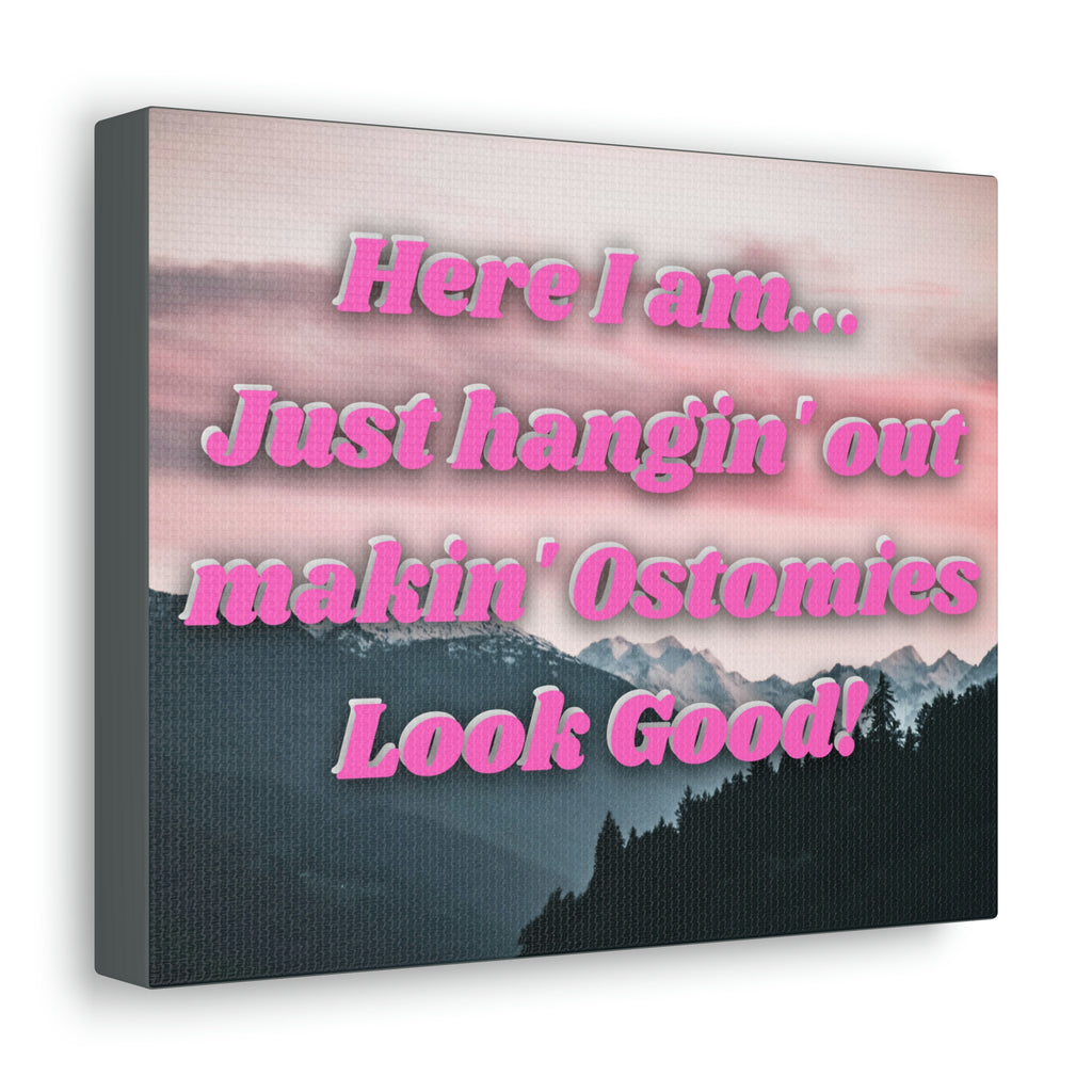 MAKIN' OSTOMIES LOOK GOOD (Canvas Gallery Wrap)