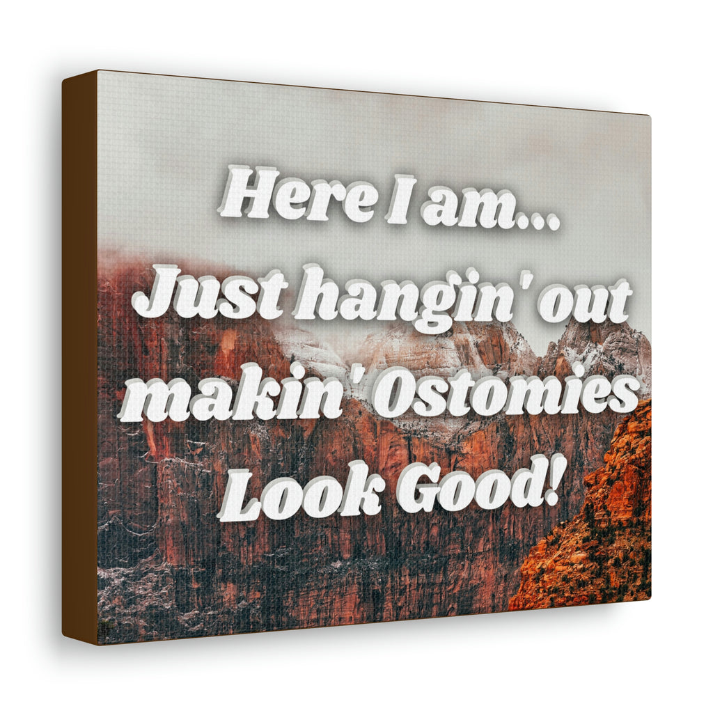 MAKIN' OSTOMIES LOOK GOOD (Canvas Gallery Wrap)