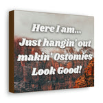 MAKIN' OSTOMIES LOOK GOOD (Canvas Gallery Wrap)