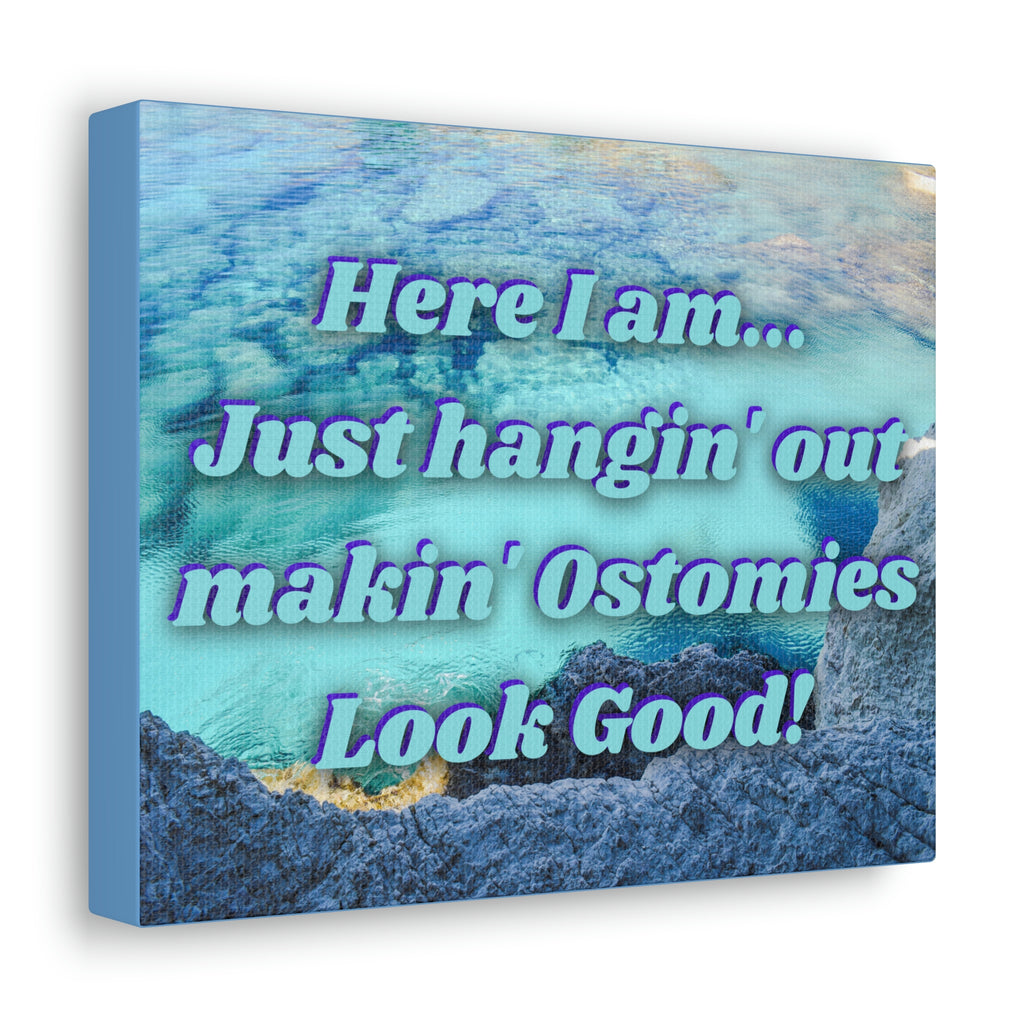 MAKIN' OSTOMIES LOOK GOOD (Canvas Gallery Wrap)