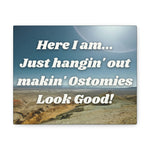 MAKIN' OSTOMIES LOOK GOOD (Canvas Gallery Wrap)