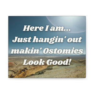MAKIN' OSTOMIES LOOK GOOD (Canvas Gallery Wrap)