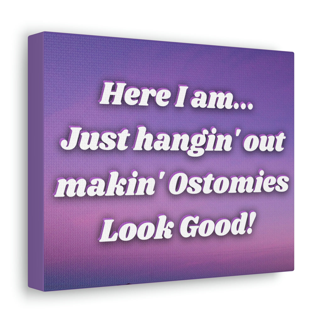 MAKIN' OSTOMIES LOOK GOOD (Canvas Gallery Wrap)