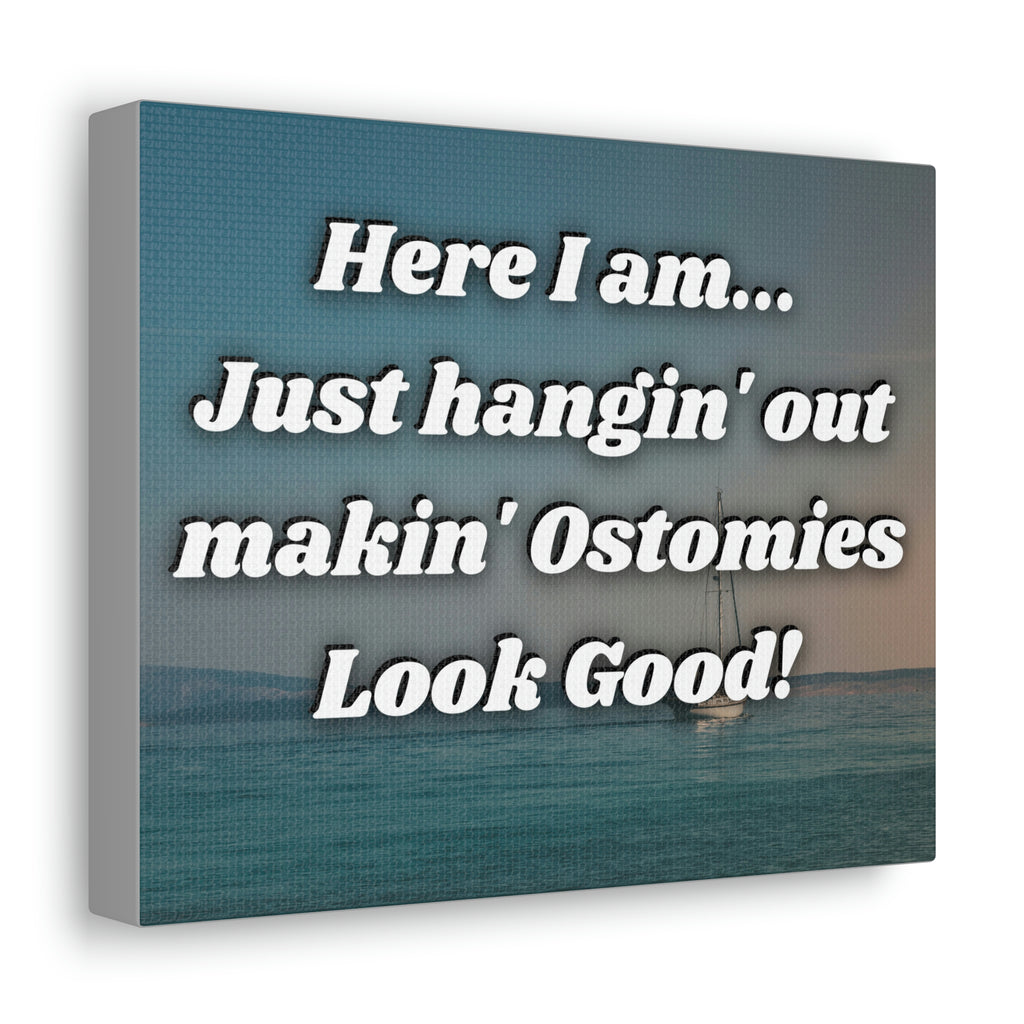 MAKIN' OSTOMIES LOOK GOOD (Canvas Gallery Wrap)