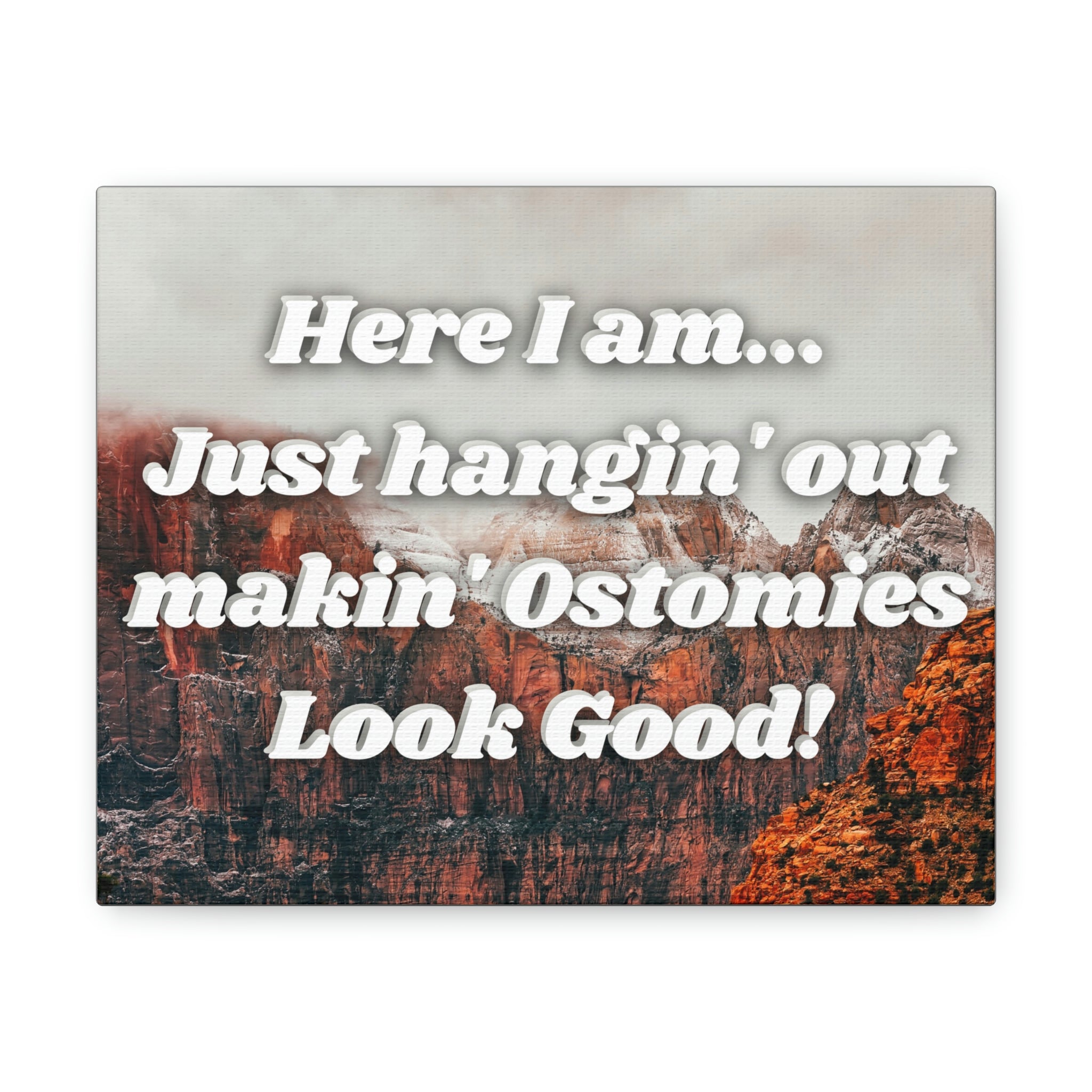 MAKIN' OSTOMIES LOOK GOOD (Canvas Gallery Wrap)