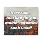 MAKIN' OSTOMIES LOOK GOOD (Canvas Gallery Wrap)