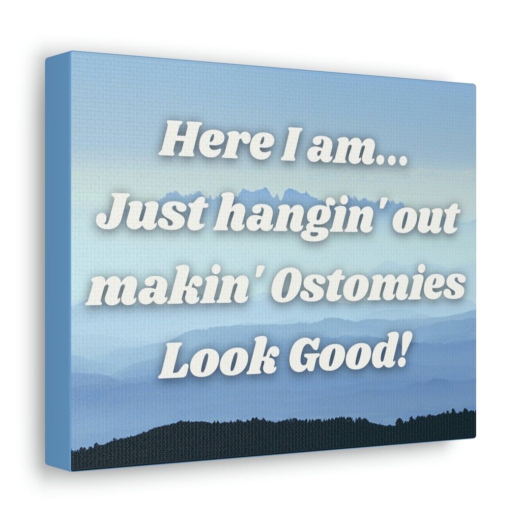 MAKIN' OSTOMIES LOOK GOOD (Canvas Gallery Wrap)