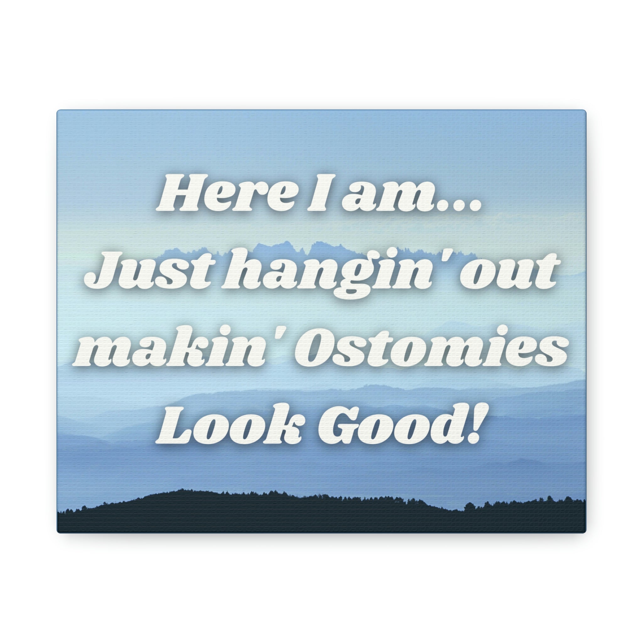 MAKIN' OSTOMIES LOOK GOOD (Canvas Gallery Wrap)