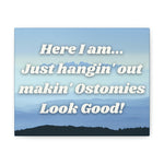 MAKIN' OSTOMIES LOOK GOOD (Canvas Gallery Wrap)