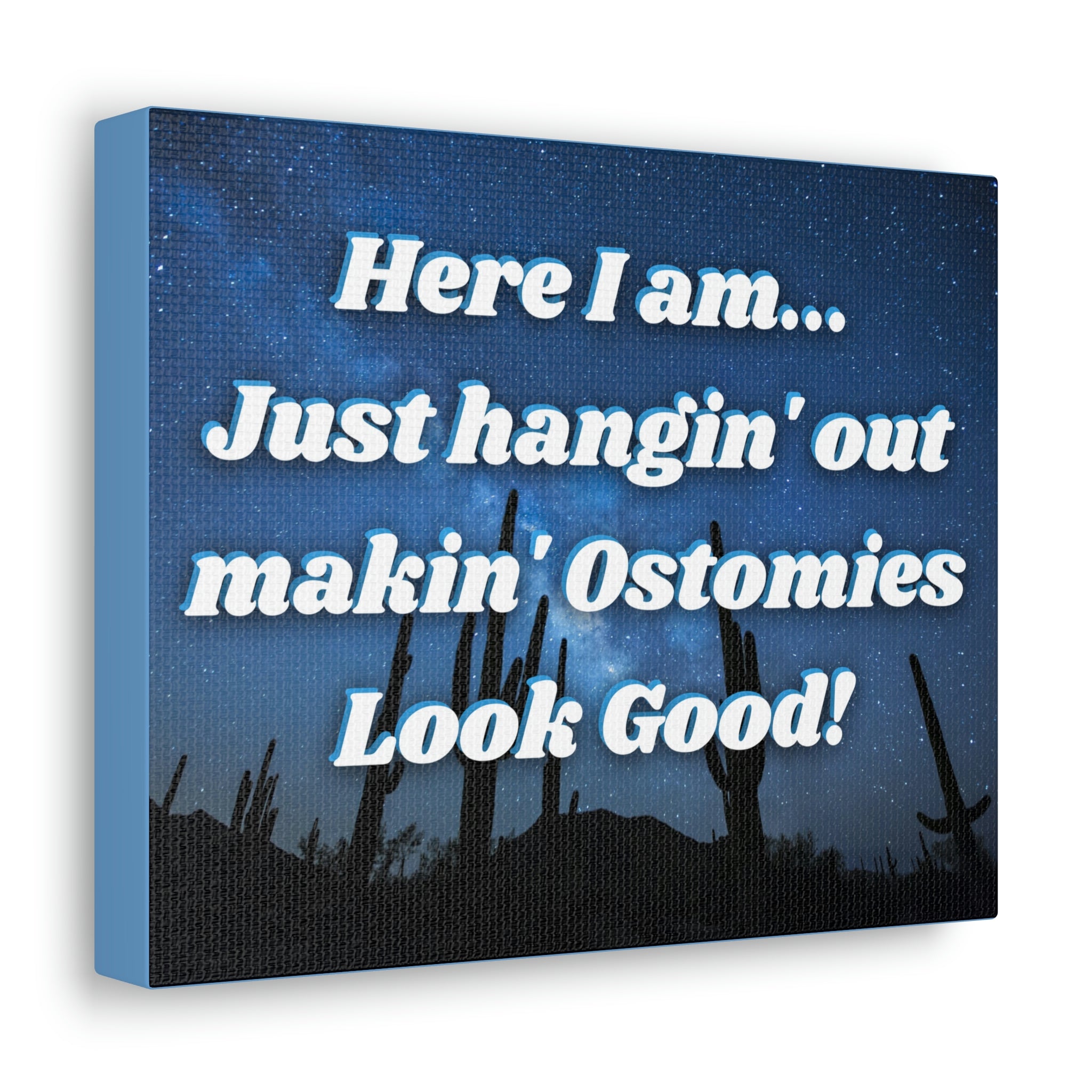 MAKIN' OSTOMIES LOOK GOOD (Canvas Gallery Wrap)