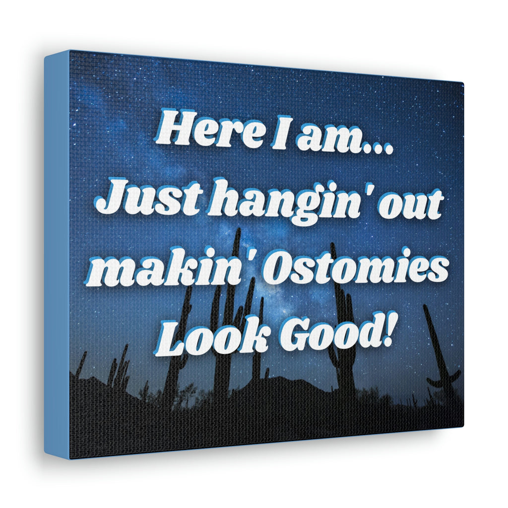 MAKIN' OSTOMIES LOOK GOOD (Canvas Gallery Wrap)