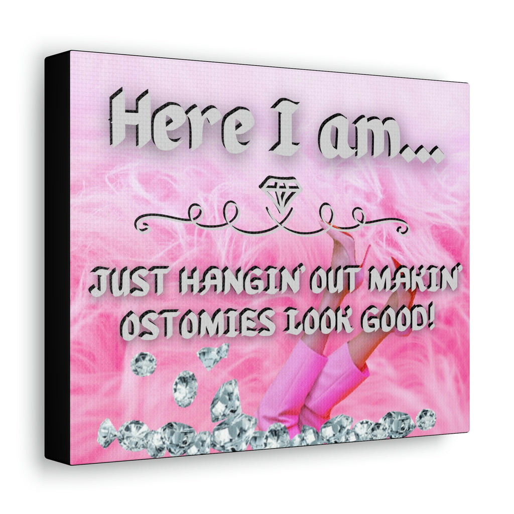 Makin' Ostomies Look Good (Canvas Gallery Wrap)