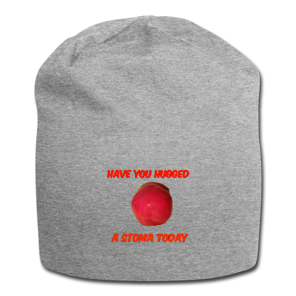 HAVE YOU HUGGED A STOMA TODAY Jersey Beanie - heather gray